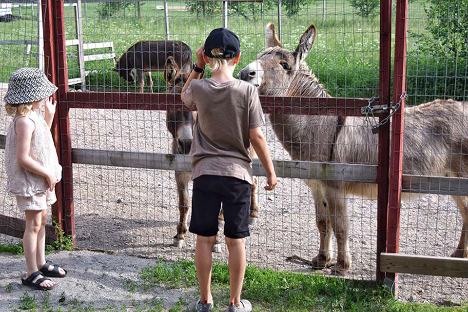 Kiviniityn Kotiel&auml;inpuisto