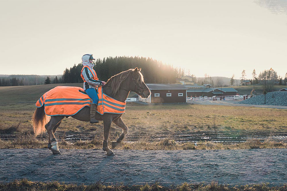 K&auml;rpp&auml;l&auml;n Ratsutila